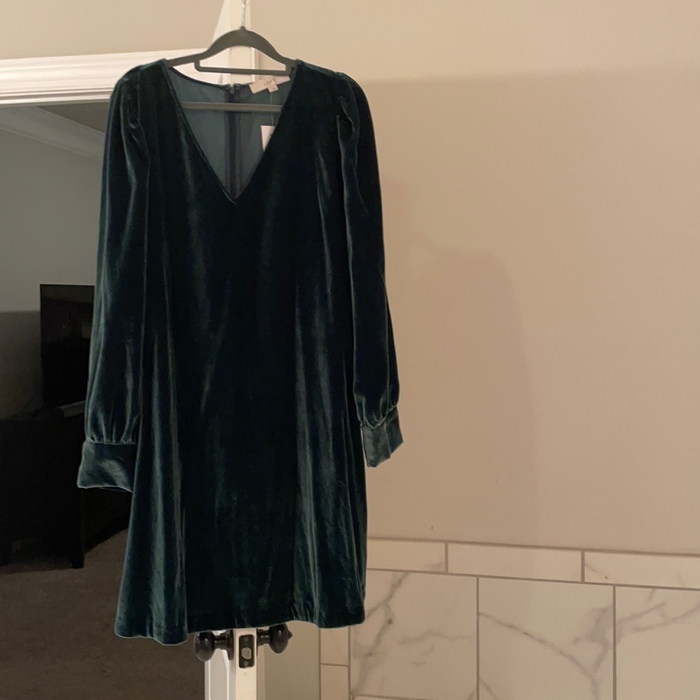 Green Velvet dress